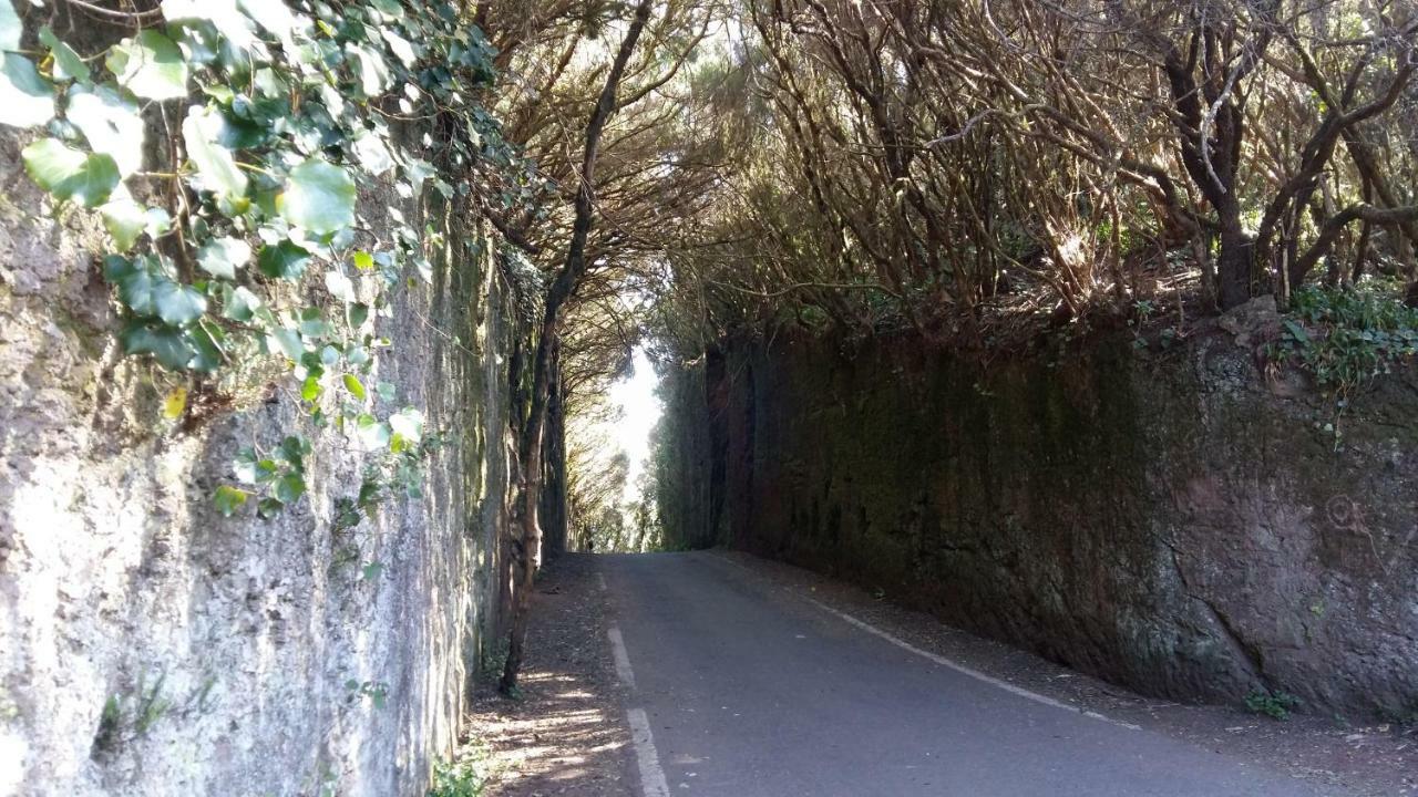 Estudio Molinos San Cristóbal de La Laguna